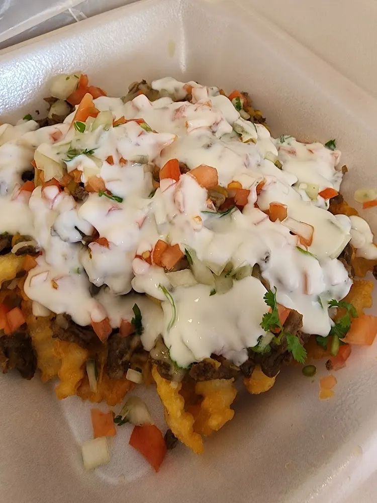 Carne Asada Fries